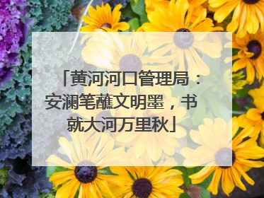 黄河河口管理局：安澜笔蘸文明墨，书就大河万里秋