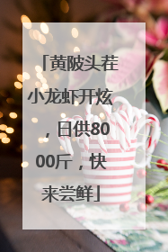 黄陂头茬小龙虾开炫，日供8000斤，快来尝鲜