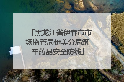 黑龙江省伊春市市场监管局伊美分局筑牢药品安全防线