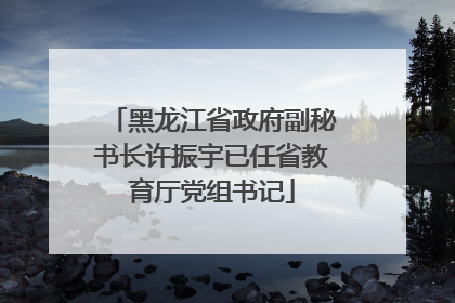 黑龙江省政府副秘书长许振宇已任省教育厅党组书记
