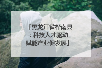 黑龙江省桦南县：科技人才驱动 赋能产业促发展
