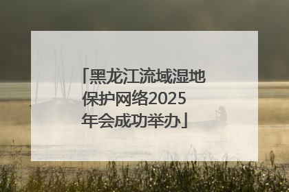 黑龙江流域湿地保护网络2025年会成功举办