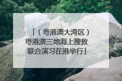 （粤港澳大湾区）粤港澳三地海上搜救联合演习在港举行