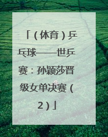 （体育）乒乓球——世乒赛：孙颖莎晋级女单决赛（2）