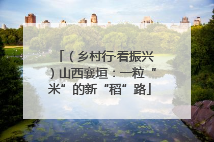 （乡村行·看振兴）山西襄垣：一粒“米”的新“稻”路