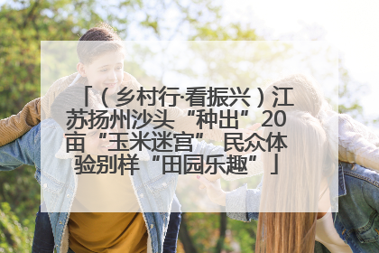 （乡村行·看振兴）江苏扬州沙头“种出”20亩“玉米迷宫” 民众体验别样“田园乐趣”