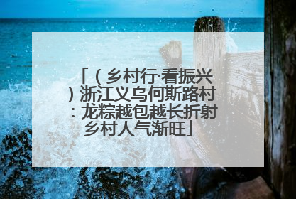 （乡村行·看振兴）浙江义乌何斯路村：龙粽越包越长折射乡村人气渐旺