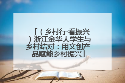 （乡村行·看振兴）浙江金华大学生与乡村结对：用文创产品赋能乡村振兴