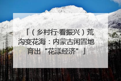 （乡村行·看振兴）荒沟变花海：内蒙古闲置地育出“花漾经济”