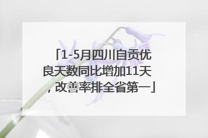 1-5月四川自贡优良天数同比增加11天，改善率排全省第一