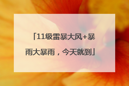 11级雷暴大风+暴雨大暴雨，今天就到