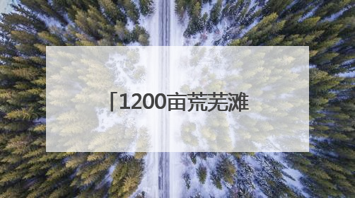 1200亩荒芜滩涂变为生态文旅胜地，东方伊甸园6月28日在青岛开园