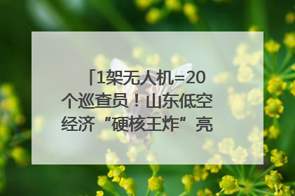 1架无人机=20个巡查员！山东低空经济“硬核王炸”亮相青岛，下一个万亿赛道藏在这里