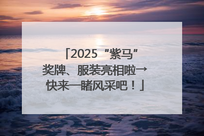 2025“紫马”奖牌、服装亮相啦→快来一睹风采吧！