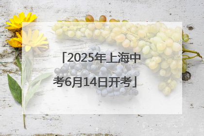 2025年上海中考6月14日开考