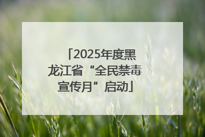 2025年度黑龙江省“全民禁毒宣传月”启动