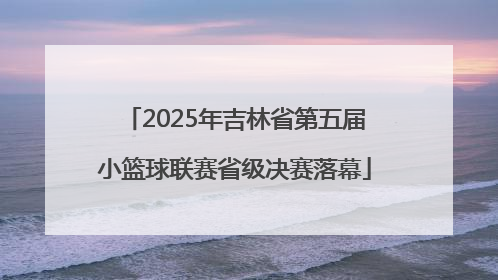 2025年吉林省第五届小篮球联赛省级决赛落幕