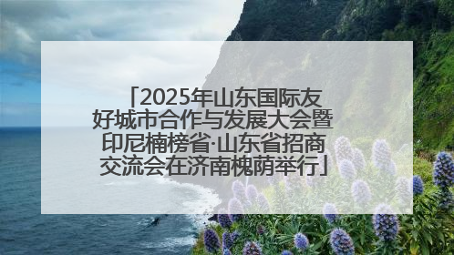 2025年山东国际友好城市合作与发展大会暨印尼楠榜省·山东省招商交流会在济南槐荫举行