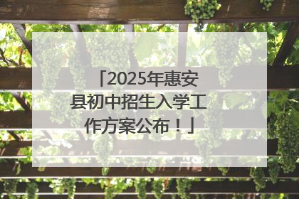 2025年惠安县初中招生入学工作方案公布！