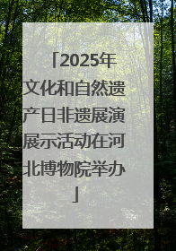2025年文化和自然遗产日非遗展演展示活动在河北博物院举办