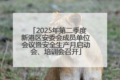 2025年第二季度新港区安委会成员单位会议暨安全生产月启动会、培训会召开