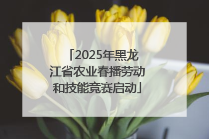 2025年黑龙江省农业春播劳动和技能竞赛启动