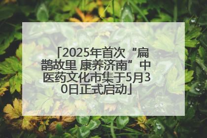 2025年首次“扁鹊故里 康养济南”中医药文化市集于5月30日正式启动