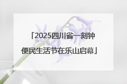 2025四川省一刻钟便民生活节在乐山启幕
