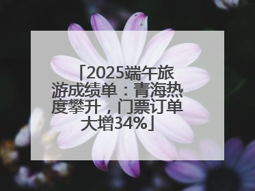 2025端午旅游成绩单：青海热度攀升，门票订单大增34%