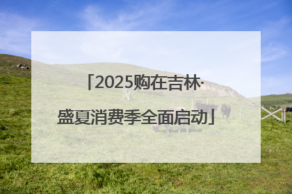 2025购在吉林·盛夏消费季全面启动