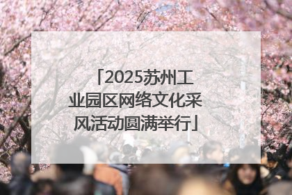 2025苏州工业园区网络文化采风活动圆满举行