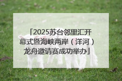 2025苏台邻里汇开幕式暨海峡两岸（洋河）龙舟邀请赛成功举办