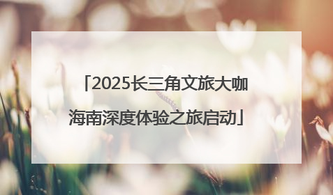 2025长三角文旅大咖海南深度体验之旅启动