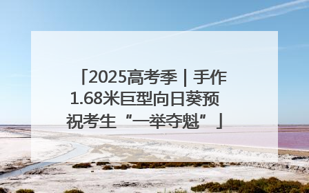 2025高考季｜手作1.68米巨型向日葵预祝考生“一举夺魁”