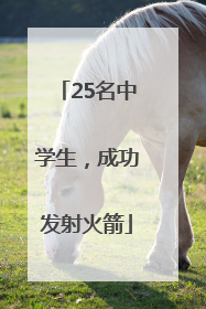 25名中学生，成功发射火箭