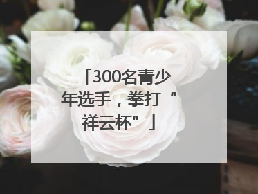 300名青少年选手，拳打“祥云杯”