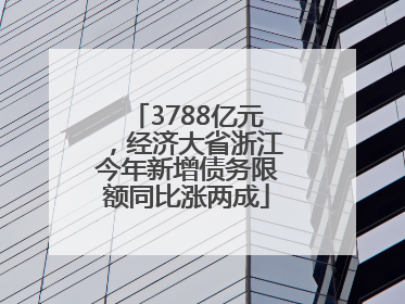 3788亿元，经济大省浙江今年新增债务限额同比涨两成
