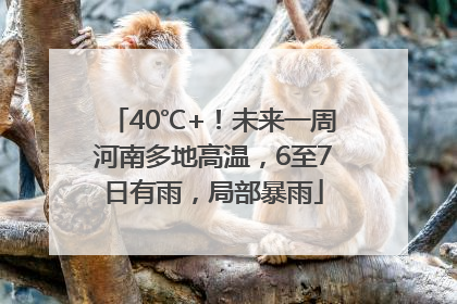 40℃+！未来一周河南多地高温，6至7日有雨，局部暴雨