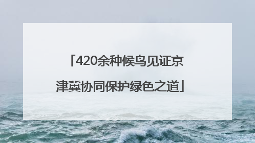 420余种候鸟见证京津冀协同保护绿色之道