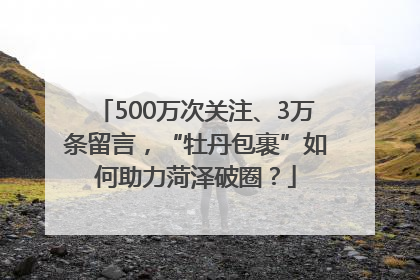 500万次关注、3万条留言，“牡丹包裹”如何助力菏泽破圈？