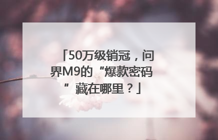 50万级销冠，问界M9的“爆款密码”藏在哪里？