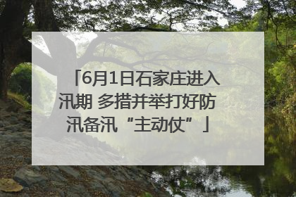 6月1日石家庄进入汛期 多措并举打好防汛备汛“主动仗”