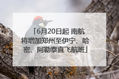 6月20日起 南航将增加郑州至伊宁、哈密、阿勒泰直飞航班