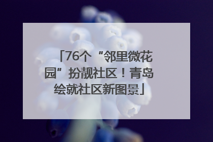 76个“邻里微花园”扮靓社区！青岛绘就社区新图景