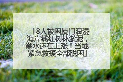 8人被困厦门浪漫海岸线红树林淤泥，潮水还在上涨！当地紧急救援全部脱困
