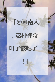 @河南人，这种神奇叶子该吃了！