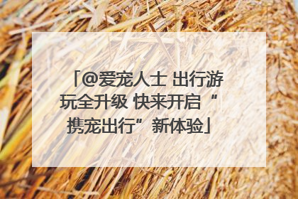 @爱宠人士 出行游玩全升级 快来开启“携宠出行”新体验