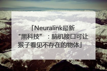 Neuralink最新“黑科技”：脑机接口可让猴子看见不存在的物体